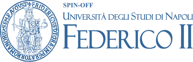 University of Naples Federico II