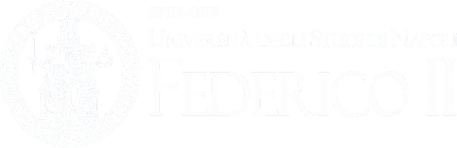 University of Naples Federico II